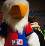 Piastus-Orzel