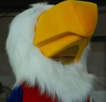 Orzel-Piastus