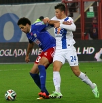 piast-lech2014a