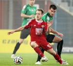 piast-leczna